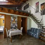 Residence San Miguel 8